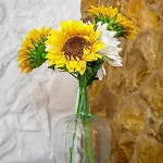 Galeria Tavira