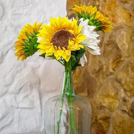 Galeria تافيرا